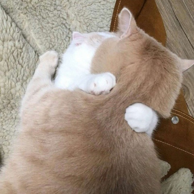 ����ͷ�� ����ϵ�� ���Թ�ɳ�� ��ز