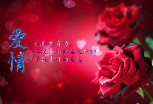 以情为茧缚余生乔凝陆恒彬阅读全章节小说阅读-武侠小说-免费小说大全