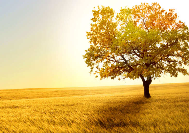 ���������˵˵��ȫ