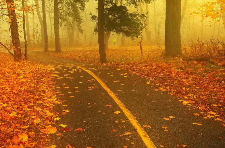 ���������˵˵��ȫ