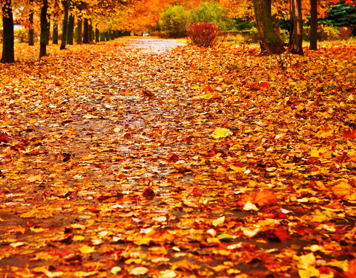 ���������˵˵��ȫ