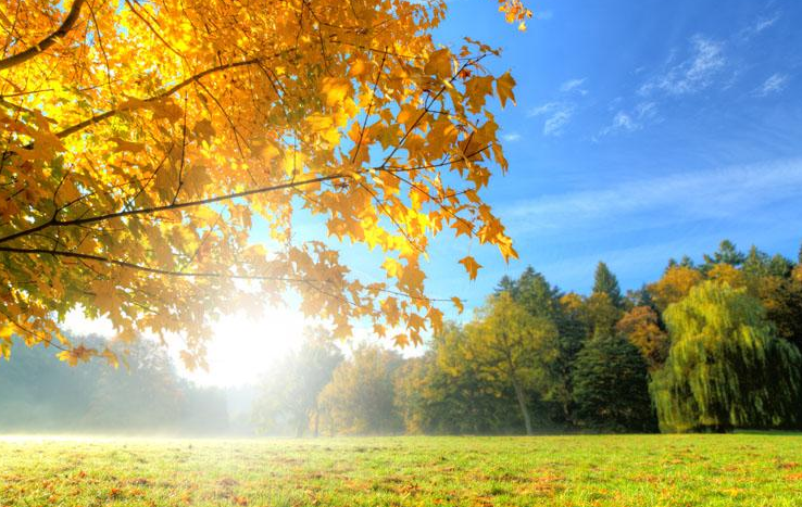 ���������˵˵��ȫ