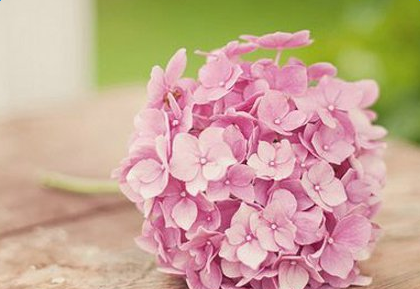 �ر��ɹ�Ҹ���˵˵