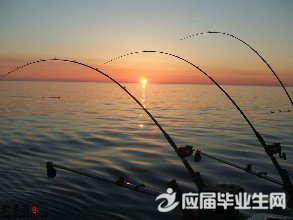 �������������