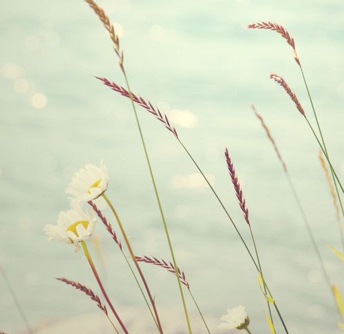 ף�صĽ����