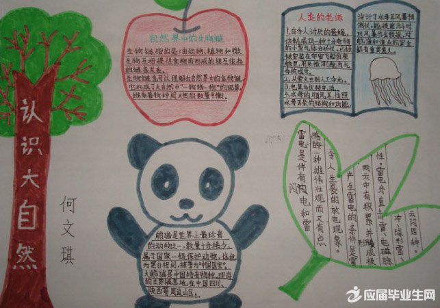 ��Ȼ�۲��ֳ���