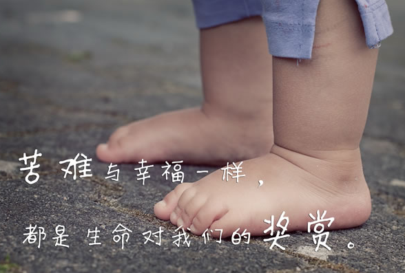 �ʺ�ѧ������־˵˵