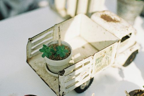 ����������鲻��˵˵