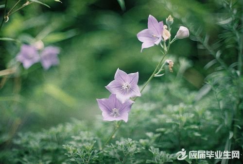 �簲����˵˵��ȫ