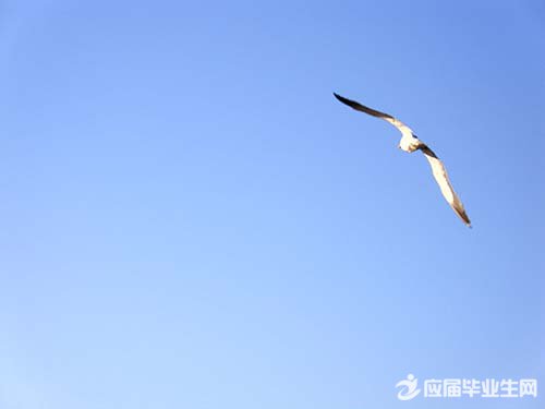 qq�������˵˵��ȫ