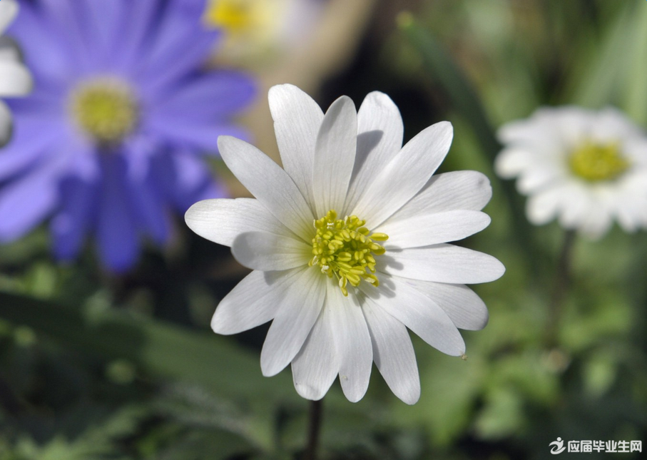 ����ǩ�������������