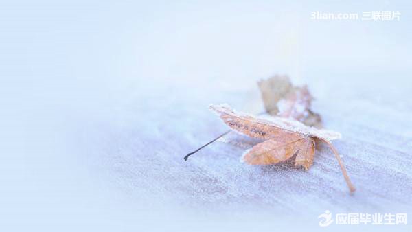 ����ǩ�������������