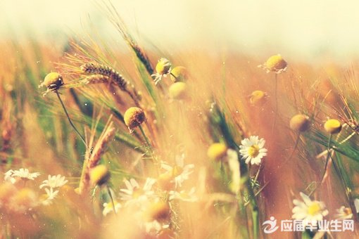 ����ǩ�������������