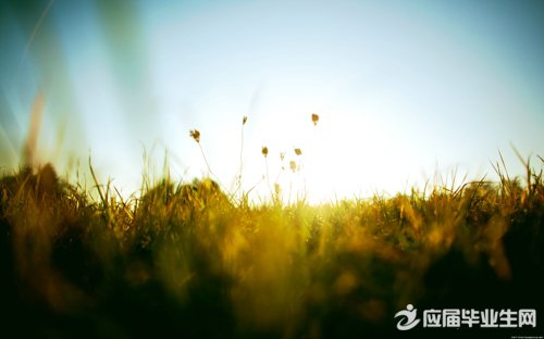 动物的谜语和答案