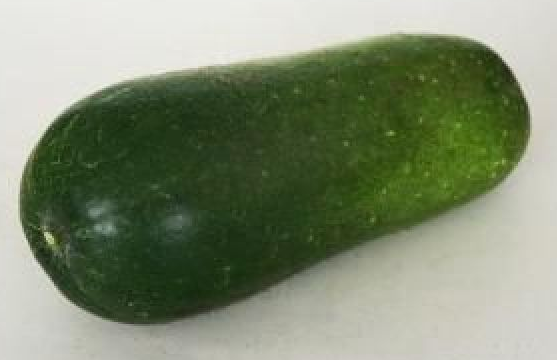 �йض��ϵ�Ъ����Ӣ��