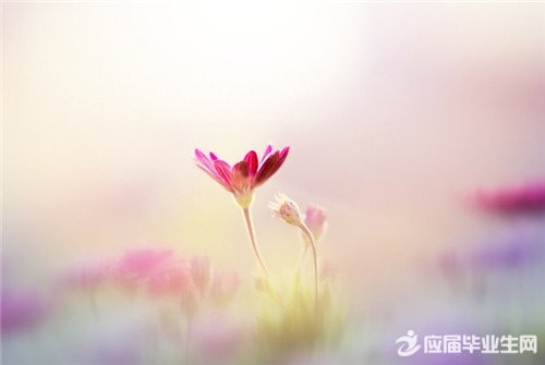 һ������ͬ�����ʲô