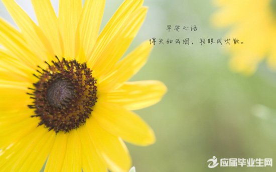 ����΢��˵˵����