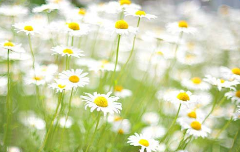 һ�仰ǩ����־