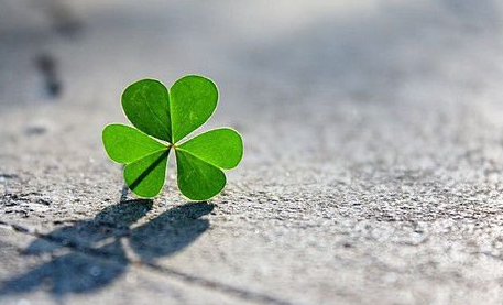 ������־�����˵˵��ȫ