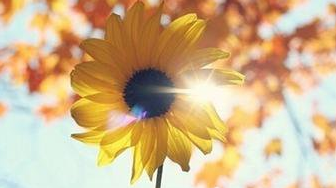 ������־�����˵˵��ȫ