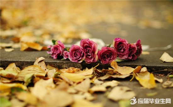 ����������ɢ�Ķ���