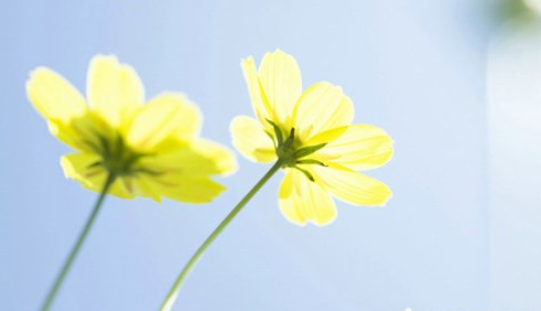 ɢ�ģ�����֮��İ���