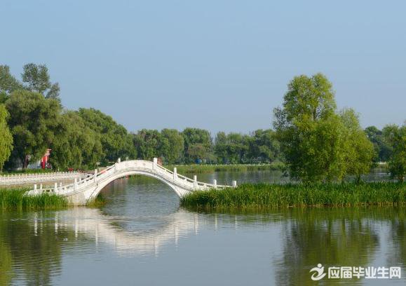 д��״���ɢ��