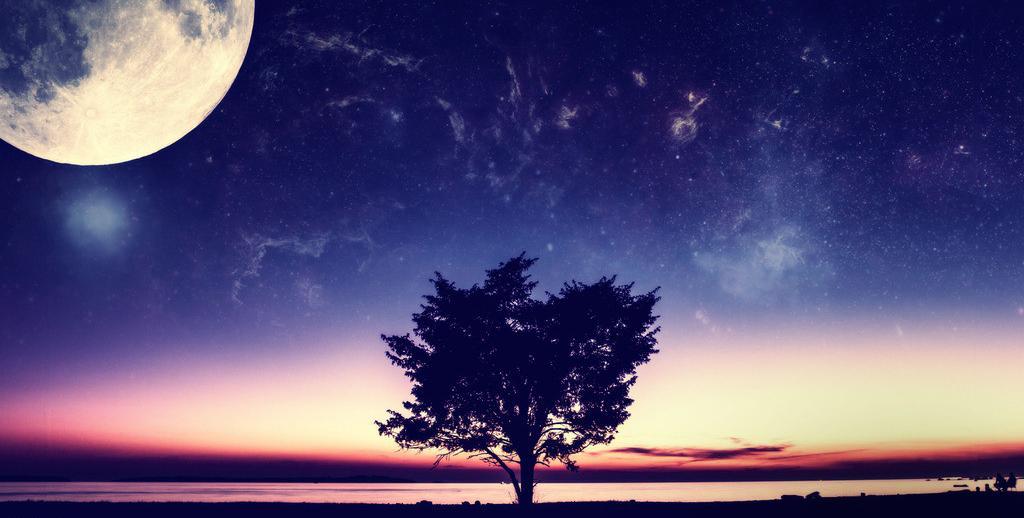 ϲ��������ҹ��ɢ��