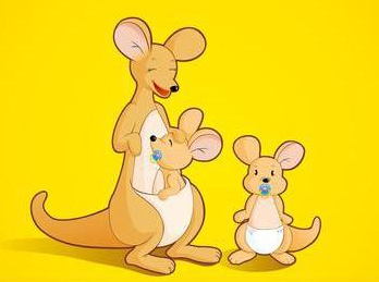 ����ò��С����Ĺ���