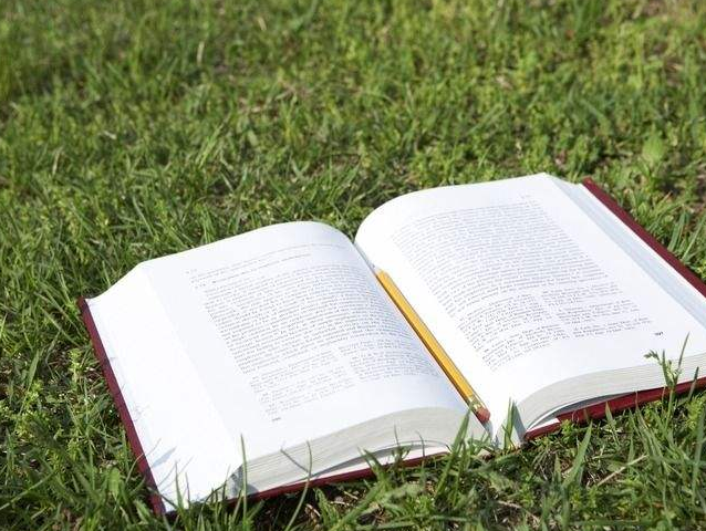 �����ͬ�����ʲô