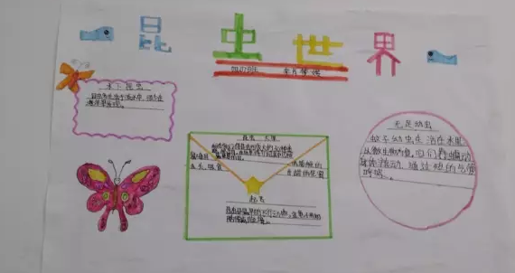 ������ֳ���