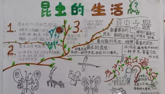 ������ֳ���