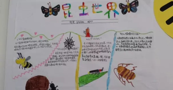 ������ֳ���