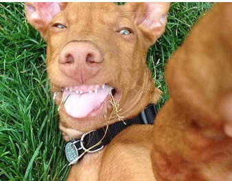 ΢�Ÿ�Ц����ǩ���̾�