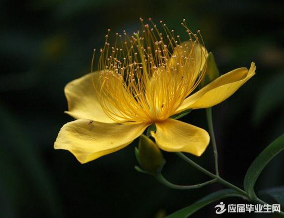 ���˱�������ɢ��