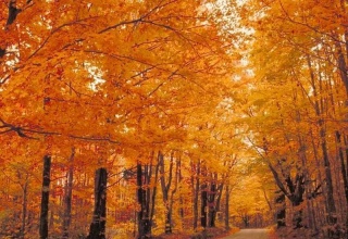 ����д�����ռ�