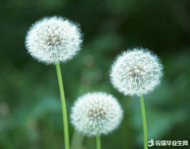 愉快的周末说说 愉快的周末说说