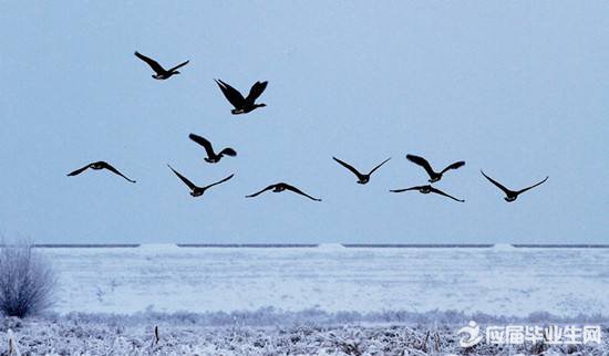 ��ʮ������������˵˵