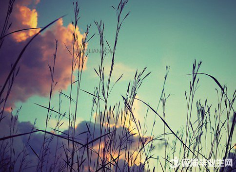 ����ְ����־��С����