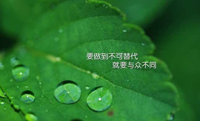 ��������־˵˵