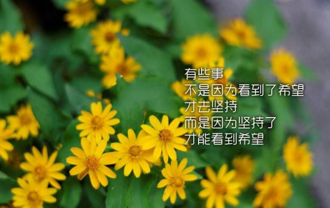 �������ĵĸ���˵˵