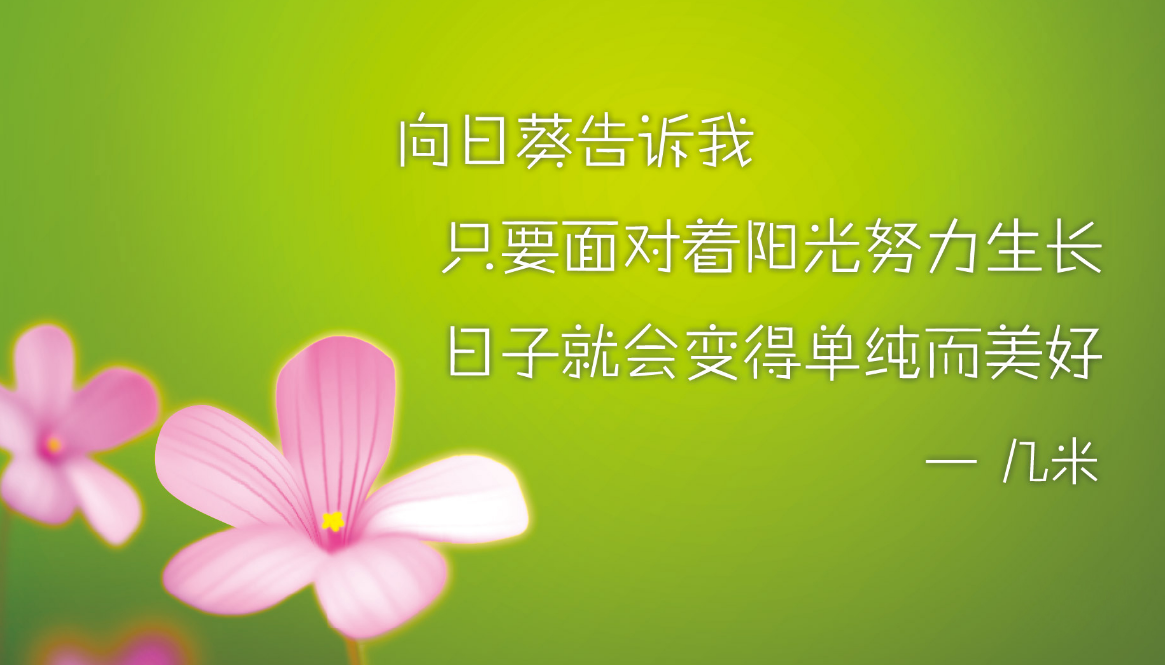 �������ĵĸ���˵˵