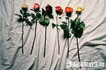 �������ǩ����̵�