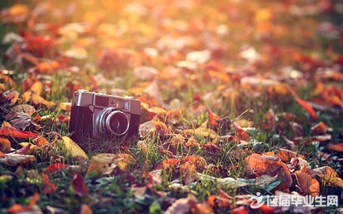 Ψ������ǩ��40��