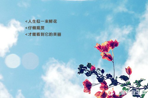 Ψ������ǩ��40��