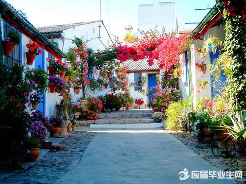 ��С�������С����