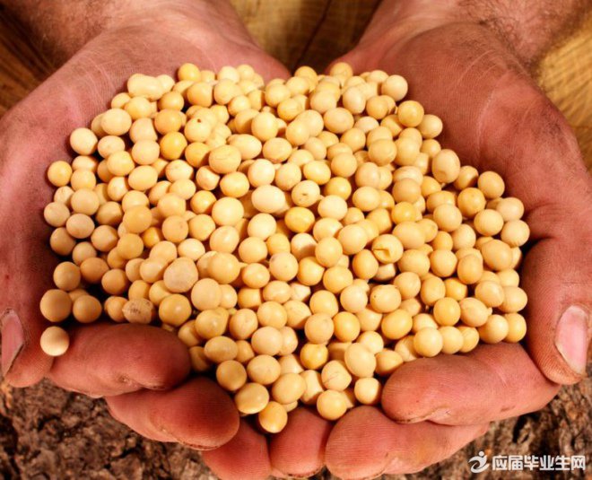 �����ӷ�ѿ�۲��ռ�