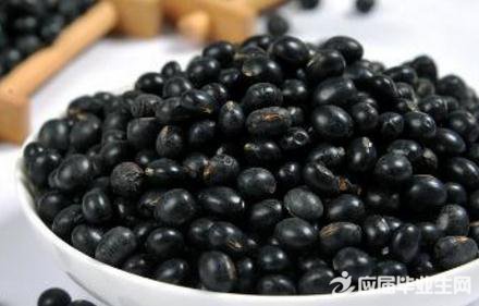 Åݺڶ¹·¢Ñ¿µÄ¹Û²ìÈÕ¼Ç