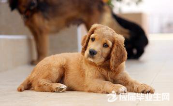 д�ɰ������ռ�