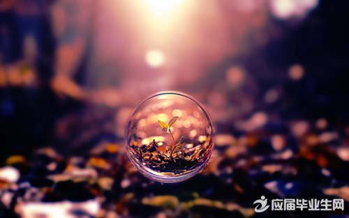 ��������ĸ���ǩ��